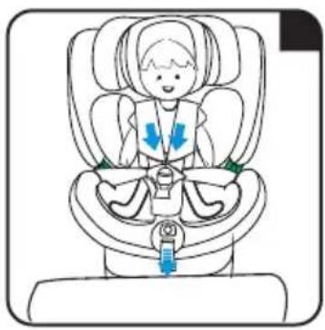 Caretero Azure I-Size - AZURE 40-150 cm - 5