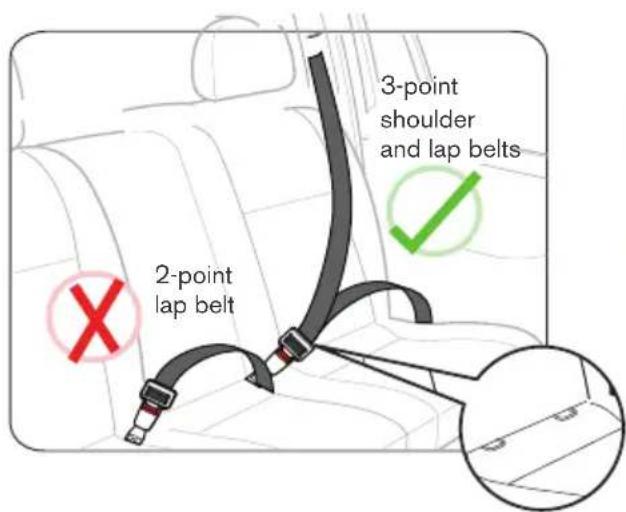 2-point lap belt 3-point shoulder and lap belts