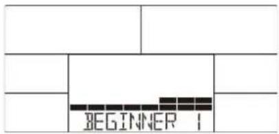 BEGINNER 1