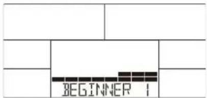 BEGINNER