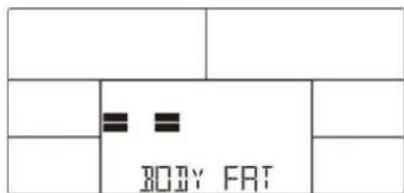BODY FAT