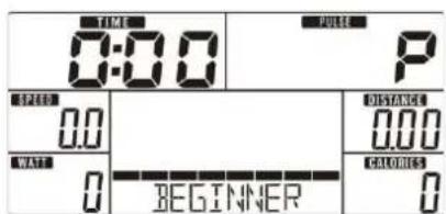 TIME 0:00 P SPEED 0.0 WAT 0 BEGINNER DISTANCE 0.00 CALORIES 0