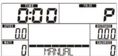 0:00 P 0.0 0.0 WAT 0 MANUAL MINIANCE 0.00 CANOCHS 0