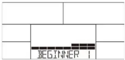 BEGINNER 1