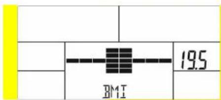 BMI 19.5