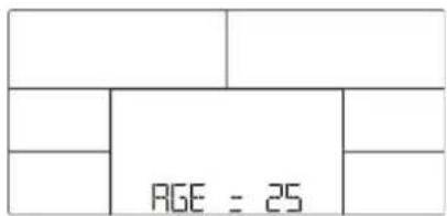 PAGE = 25