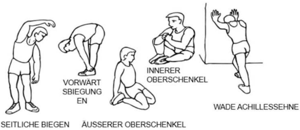 VORWÄRT SBIEGUNG EN SEITLICHE BIEGEN ÄUSSERER OBERSCHENKEL INNERER OBERSCHENKEL WADE ACHILLESSEHNE