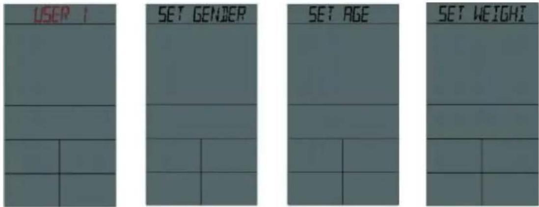 USER 1 SET GENDER SET AGE SET WEIGHT