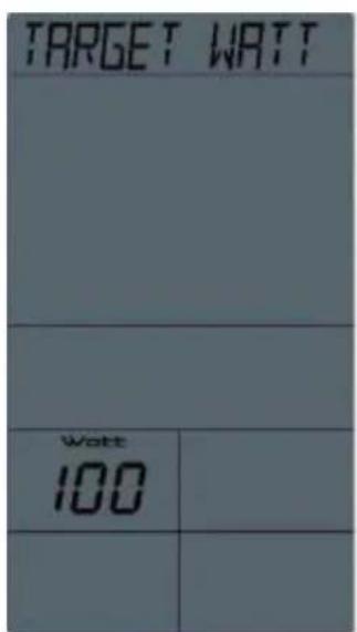 TARGET WATT Watt 100