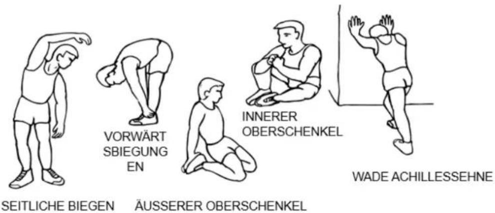 VORWÄRT SBIEGUNG EN SEITLICHE BIEGEN ÄUSSERER OBERSCHENKEL INNERER OBERSCHENKEL WADE ACHILLESSEHNE