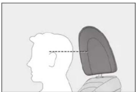 LEXUS LS 500h (2025) - Adjusting a head restraint vertically (manual head restraints) - 2