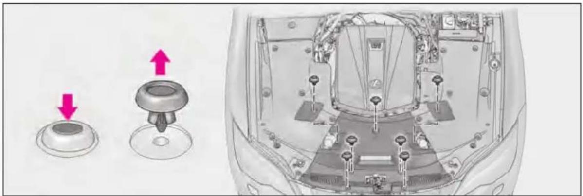 LEXUS LS 500h (2025) - Engine compartment cover - 2
