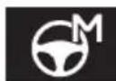 LEXUS LS 500h (2025) - Warning lights - 31