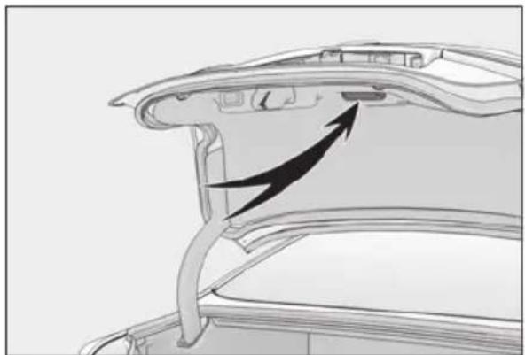 LEXUS LS 500h (2025) - Trunk grip - 1