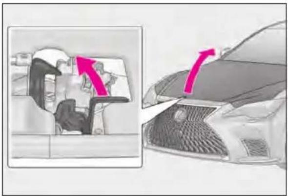 LEXUS LS 500h (2025) - Opening the hood - 2