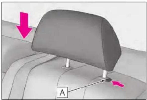LEXUS LS 500h (2025) - Installing the head restraints (manual head restraints) - 1