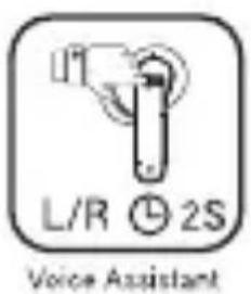L/R 2S Voice Assistant