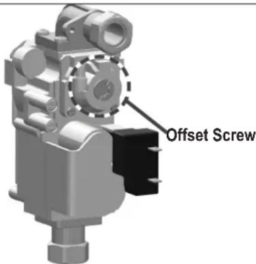 Offset Screw