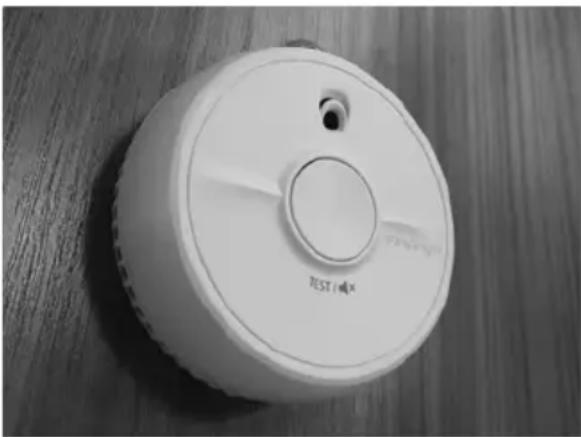 Swift Coachbuilt (2020) - Smoke Alarm Operation - 1