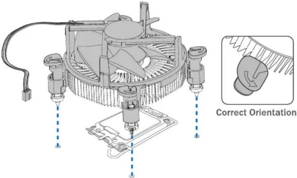 Correct Orientation