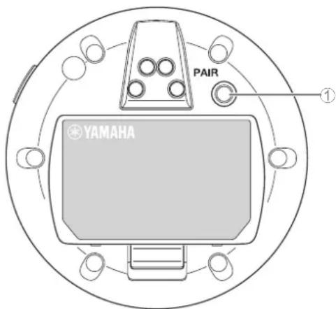 PAIR YAMAHA
