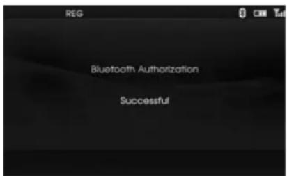 REG Bluetooth Authorization Successful