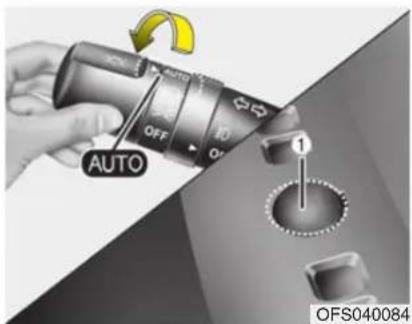 AUTO OFF 10 Off 1 OFS040084