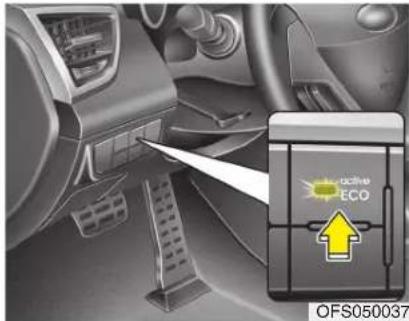 ECA ECO OFS050037