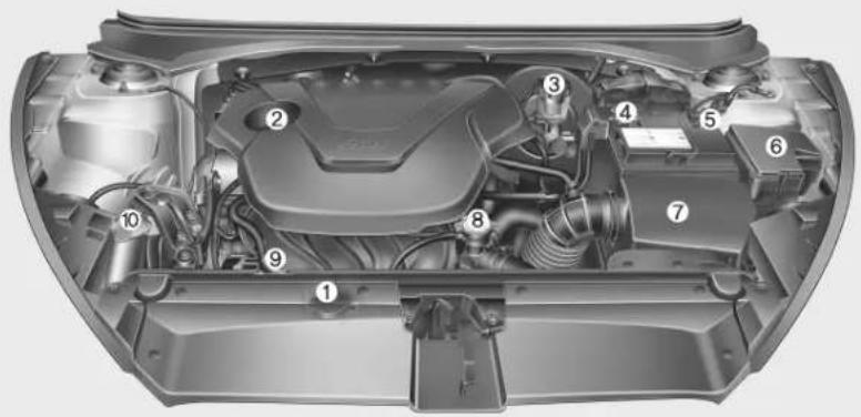 Technical diagram of a car engine bay with numbered components for identification