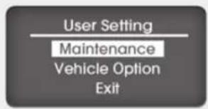 User Setting Maintenance Vehicle Option Exit