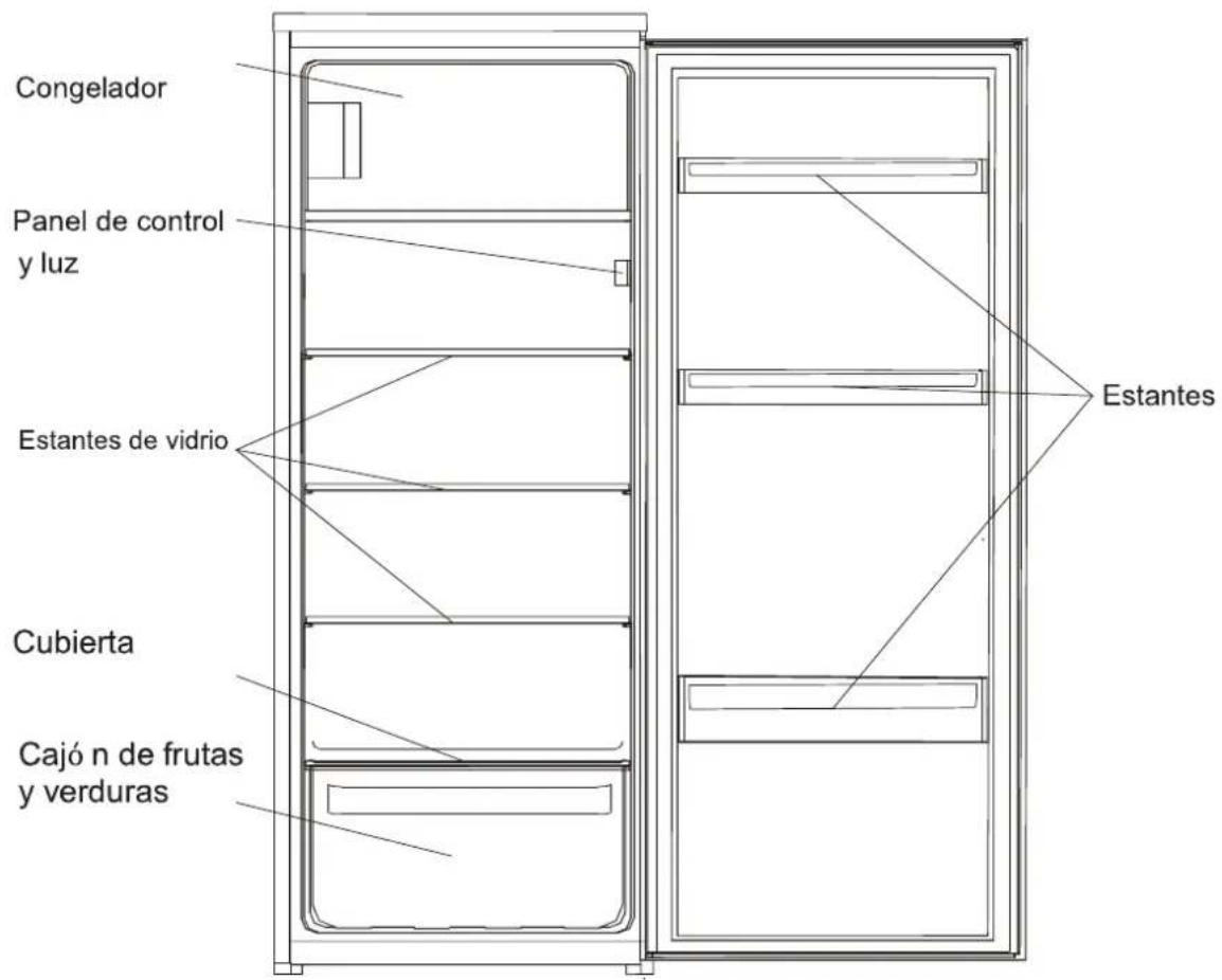 Congelador Panel de control y luz Estantes de vidrio Cubierta Cajó n de frutas y verduras Estantes