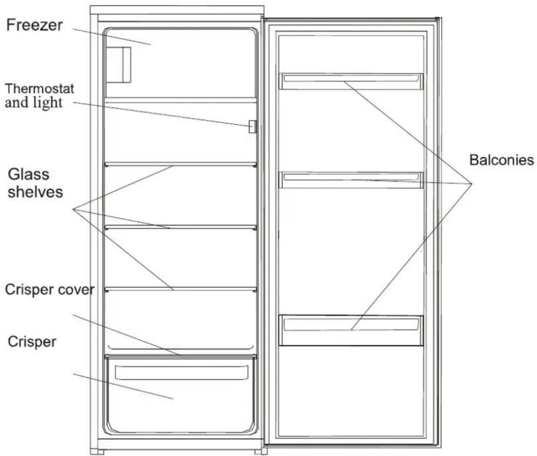Freezer Thermostat and light Glass shelves Crisper cover Crisper Balconies