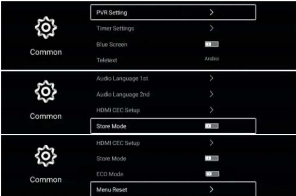 Common PVR Setting > Timer Settings > Blue Screen Teletext Arabic Audio Language 1st > Audio Language 2nd > HDMI CEC Setup > Store Mode HDMI CEC Setup > Store Mode ECO Mode Menu Reset >