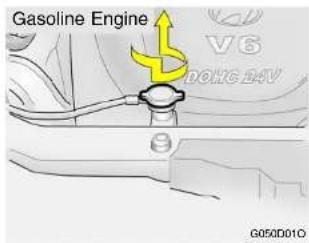 Gasoline Engine V6 DOHC 34V G05D010