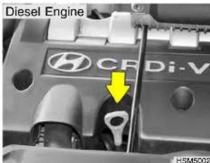 Diesel Engine CF Di-V HSM5002