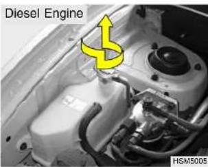 Diesel Engine HSM5005