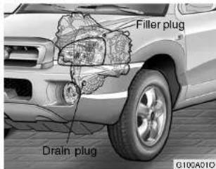 Filler plug Drain plug G100A010