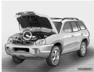 HYUNDAI Santa FE (2000) - CONSUMER INFORMATION - 3