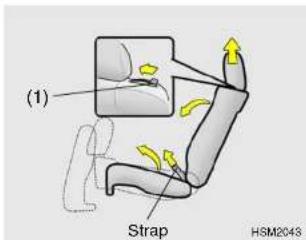 (1) Strap H8M2043