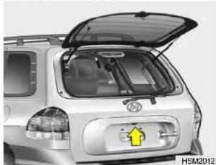 HYUNDAI Santa FE (2000) - Tail gate Window - 1