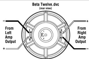 Beta Twelve.dvc (rear view) From Left Amp Output + - From Right Amp Output