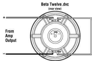 Beta Twelve.dvc (rear view) + From Amp Output - →左端口+