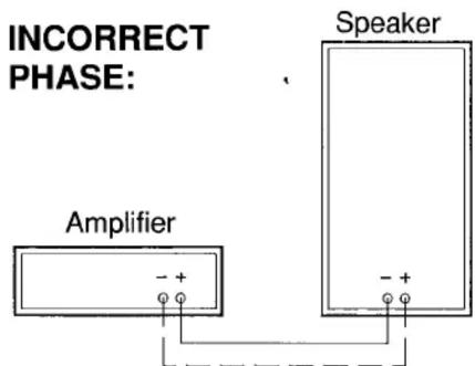 INCORRECT PHASE: Amplifier Speaker - +