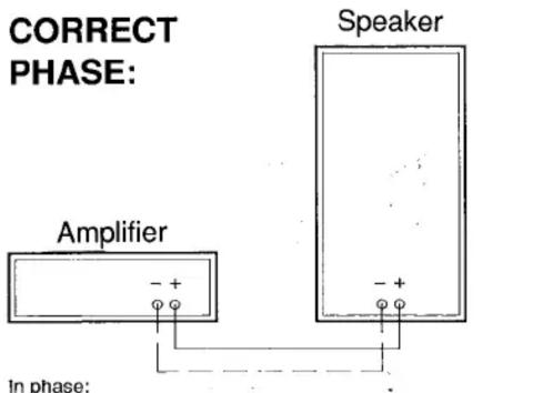 CORRECT PHASE: Amplifier Speaker In phase: