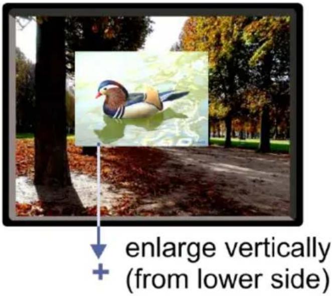 enlarge vertically (from lower side)