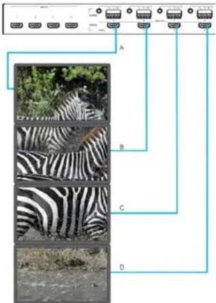 Diagram showing network connection between a device with four ports (A, B, C, D) and multiple zebra-patterned images on the left.