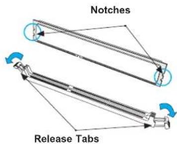 Notches Release Tabs