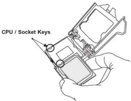 CPU / Socket Keys