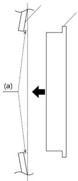(a)