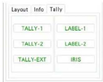 Layout Info Tally TALLY-1 LABEL-1 TALLY-2 LABEL-2 TALLY-EXT IRIS